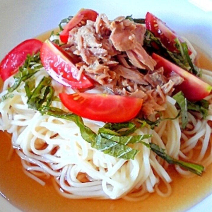 夏のお昼に。サラダ麺